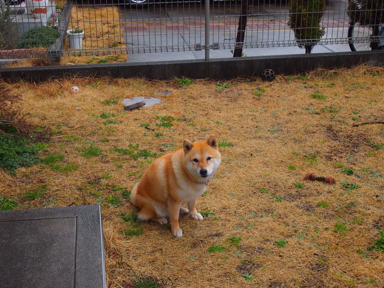 传奇人物的“非凡人生”：从青涩到巨星的蜕变，非凡人生 纪录片