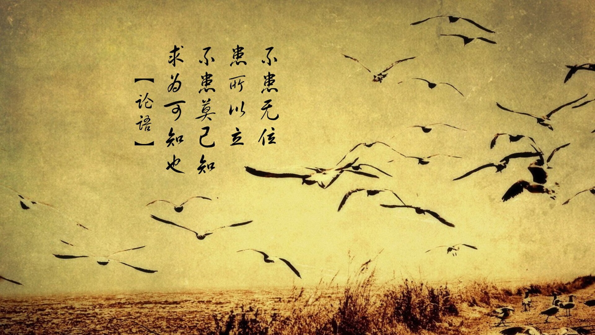 9岁滑板选手马泽尔在亚运村收集纪念徽章,称赞冰激凌美味。