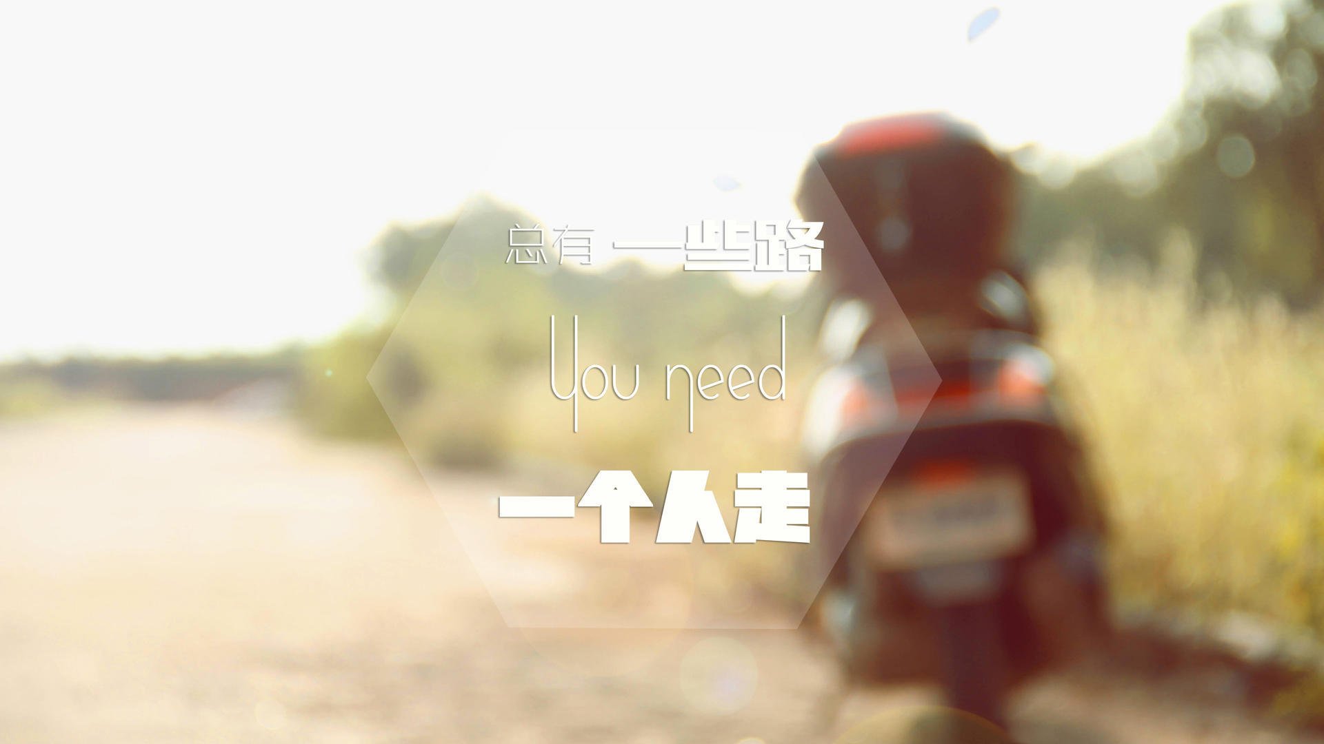 爱游戏资讯-中国跳水队包揽8枚金牌，创历史新高，中国跳水队金牌榜